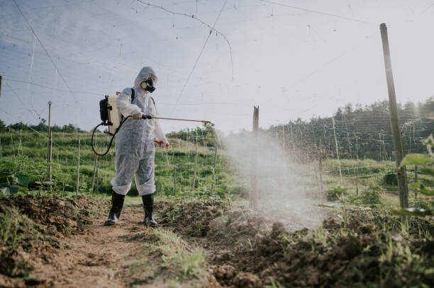 Best Termite Control Services  in Woxall, PA