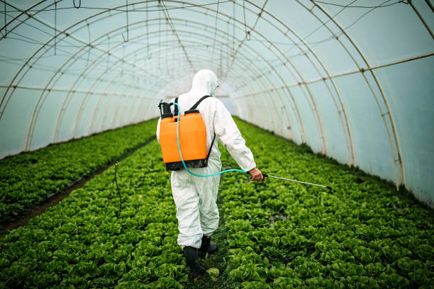 Best Residential Pest Control  in Woxall, PA