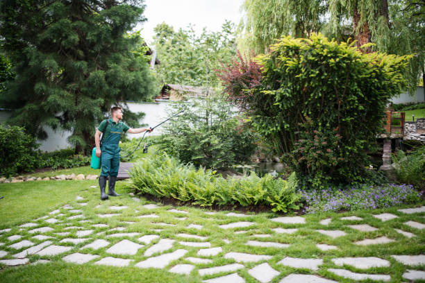 Best Affordable Pest Control Services  in Woxall, PA