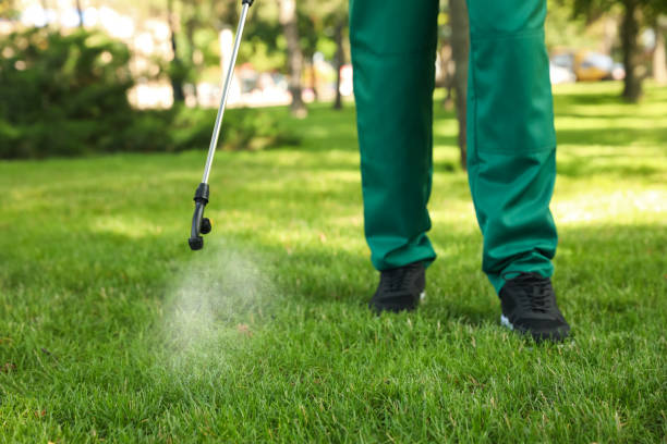 Best Pest Removal Services  in Woxall, PA