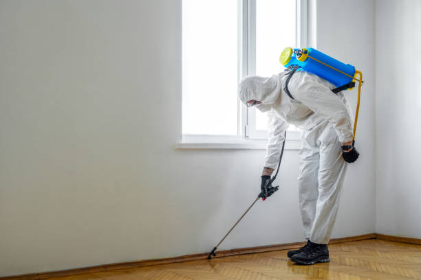 Best Mosquito Control Services  in Woxall, PA