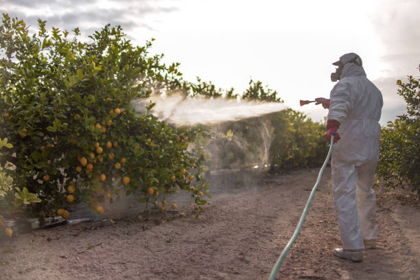 Best Wildlife Control Services  in Woxall, PA