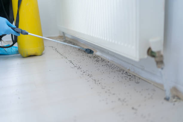 Best Best Pest Control Near Me  in Woxall, PA